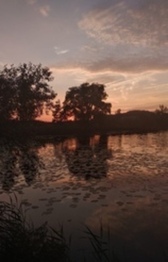 Awatar użytkownika